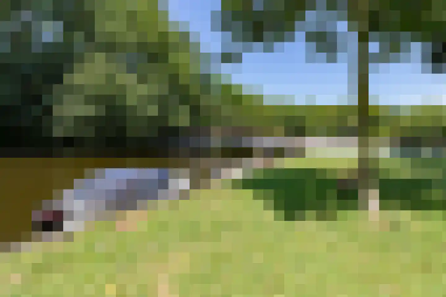 Postjeskade 107 2 Amsterdam thumbnail 29