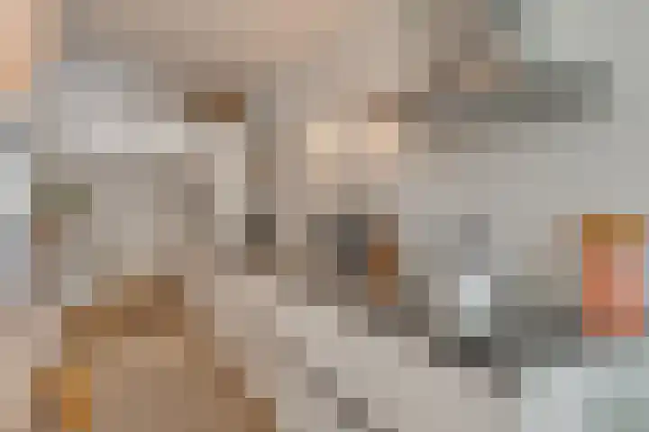 Postjeskade 11 H Amsterdam thumbnail 11