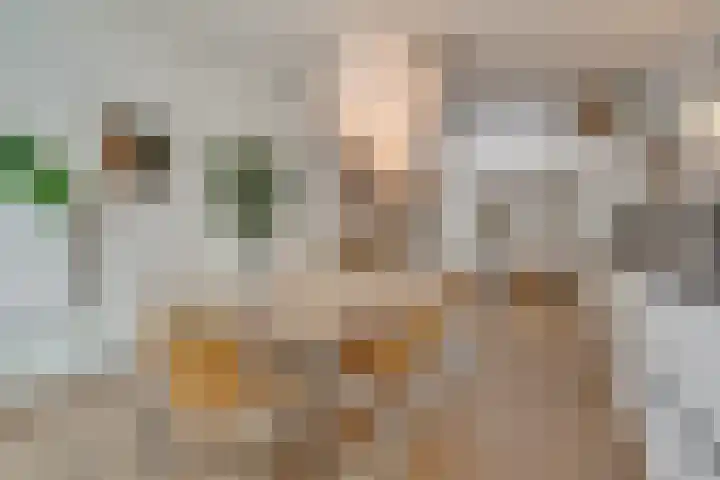 Postjeskade 11 H Amsterdam thumbnail 12