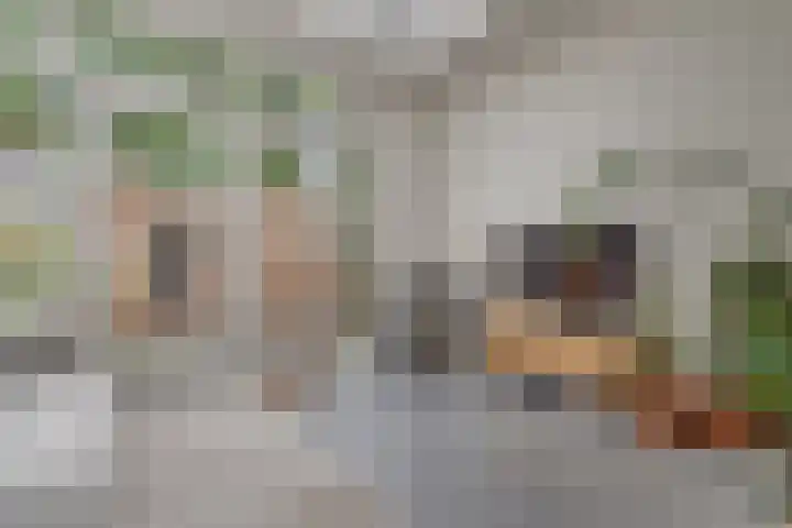 Postjeskade 11 H Amsterdam thumbnail 13