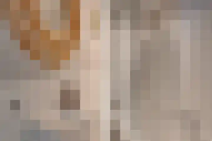 Postjeskade 11 H Amsterdam thumbnail 28