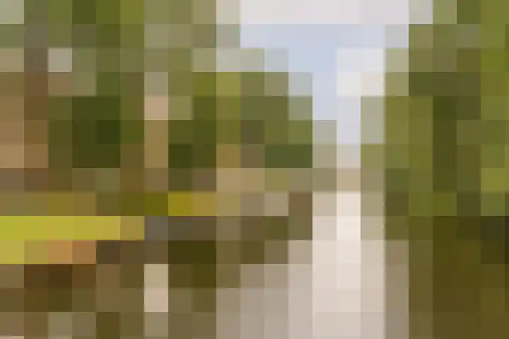 Postjeskade 11 H Amsterdam thumbnail 34