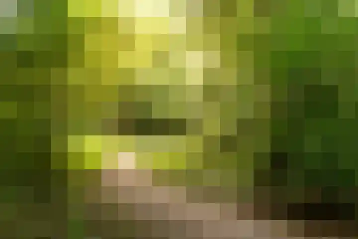 Postjeskade 11 H Amsterdam thumbnail 35