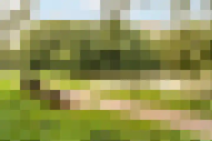Postjeskade 11 H Amsterdam thumbnail 37