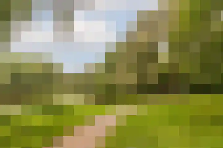 Postjeskade 11 H Amsterdam thumbnail 38