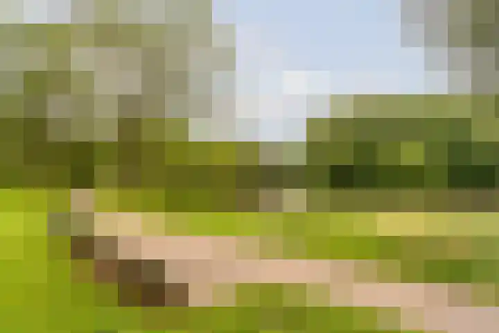 Postjeskade 11 H Amsterdam thumbnail 39