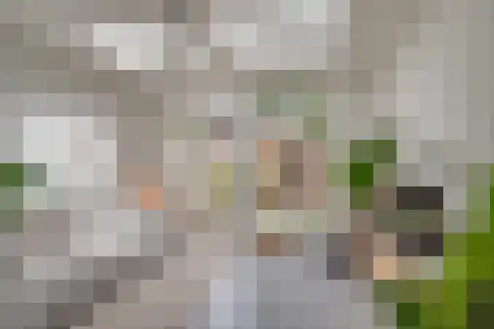 Postjeskade 11 H Amsterdam thumbnail 4