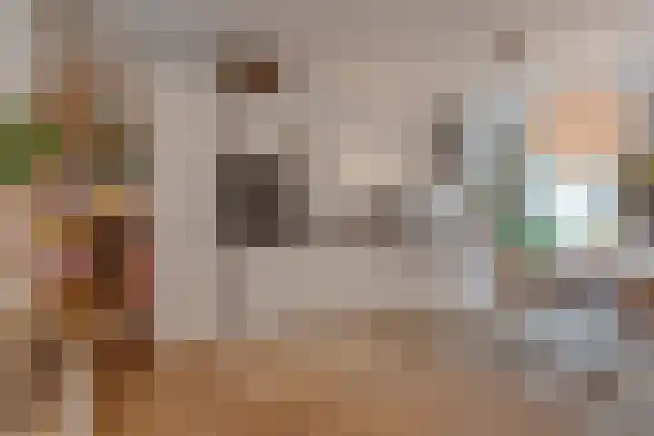 Postjeskade 11 H Amsterdam thumbnail 6