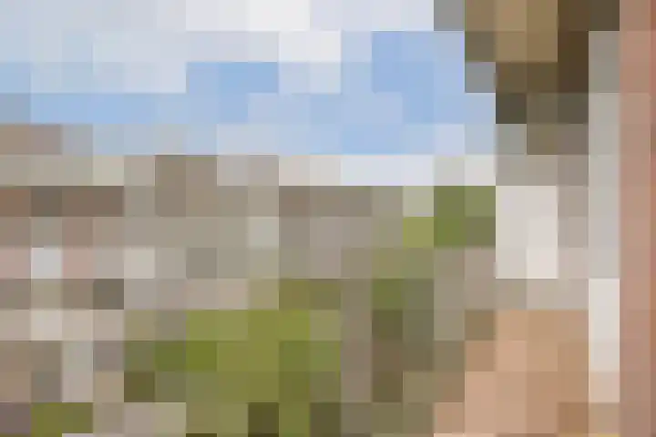 Postjeskade 113 4 Amsterdam thumbnail 10