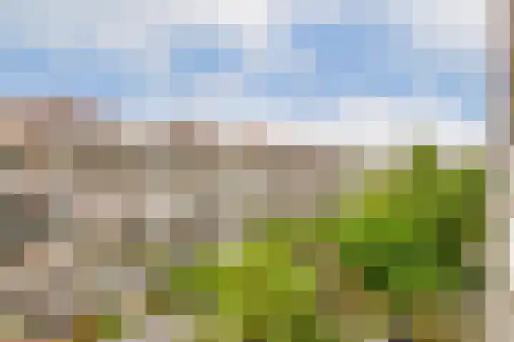 Postjeskade 113 4 Amsterdam thumbnail 11