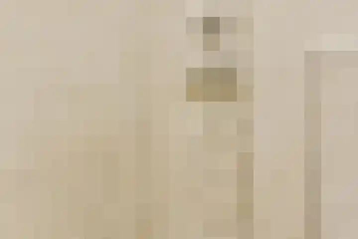 Postjeskade 113 4 Amsterdam thumbnail 18