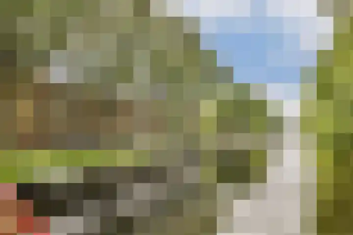 Postjeskade 113 4 Amsterdam thumbnail 20
