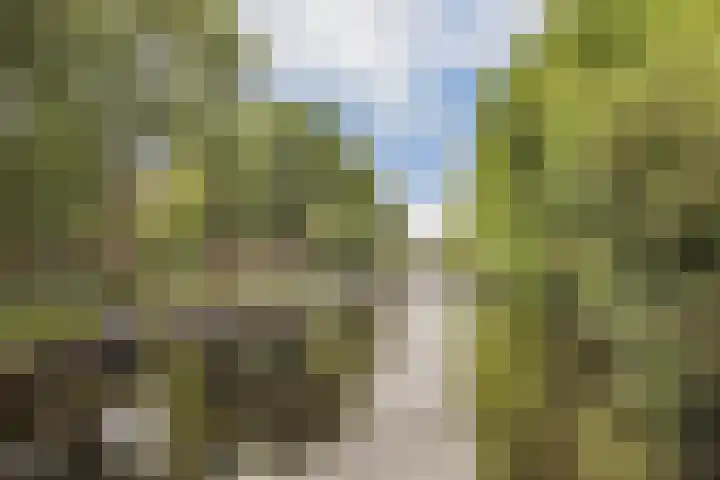 Postjeskade 113 4 Amsterdam thumbnail 21