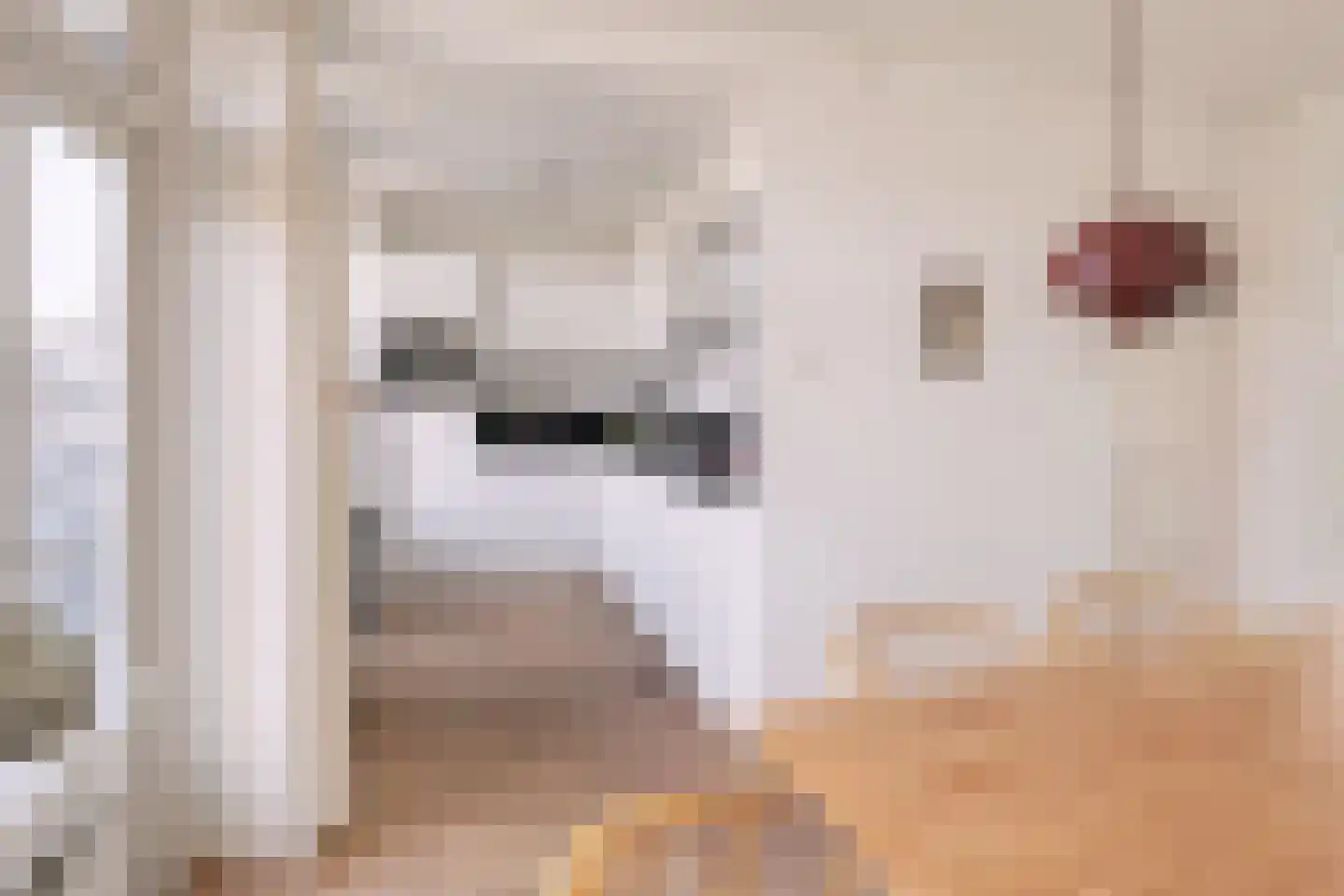 Postjeskade 12 3 Amsterdam thumbnail 16
