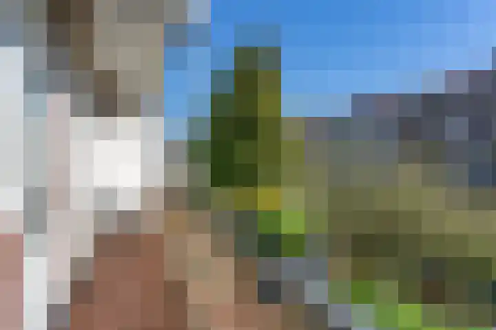 Postjeskade 123 H Amsterdam thumbnail 28