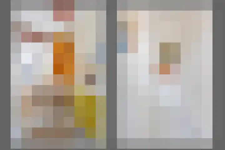 Postjeskade 123 H Amsterdam thumbnail 31