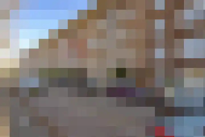Postjeskade 123 H Amsterdam thumbnail 37