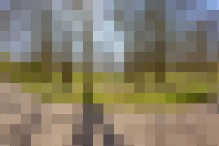 Postjeskade 123 H Amsterdam thumbnail 40