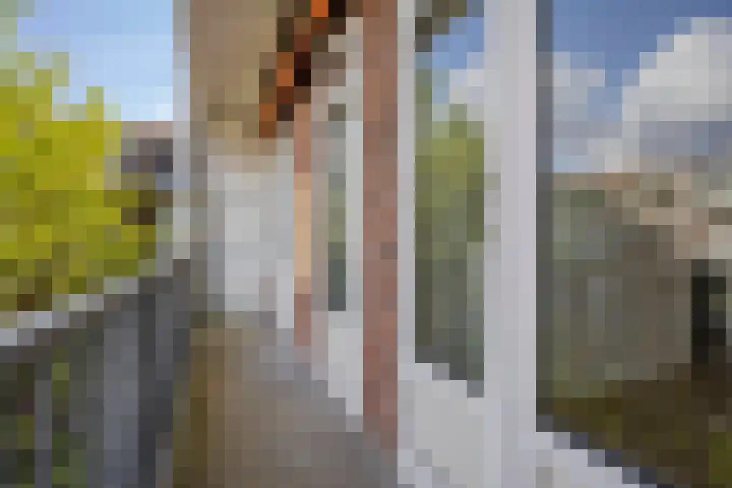 Postjeskade 135 2 Amsterdam thumbnail 20