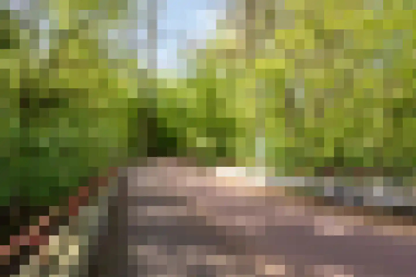 Postjeskade 135 2 Amsterdam thumbnail 22