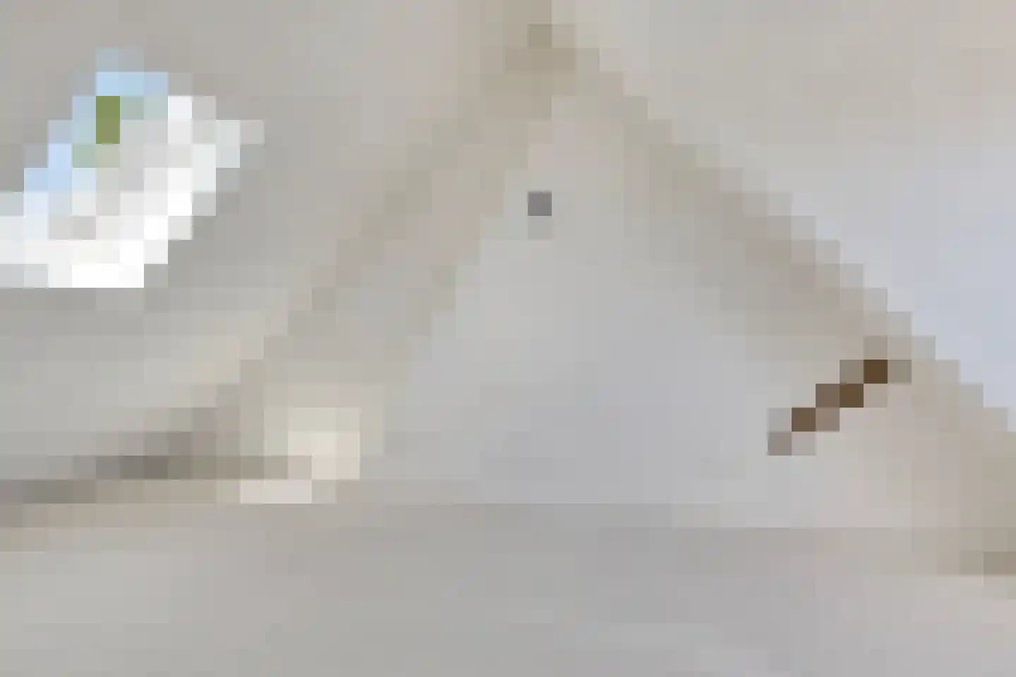 Postjeskade 135 4 Amsterdam thumbnail 21