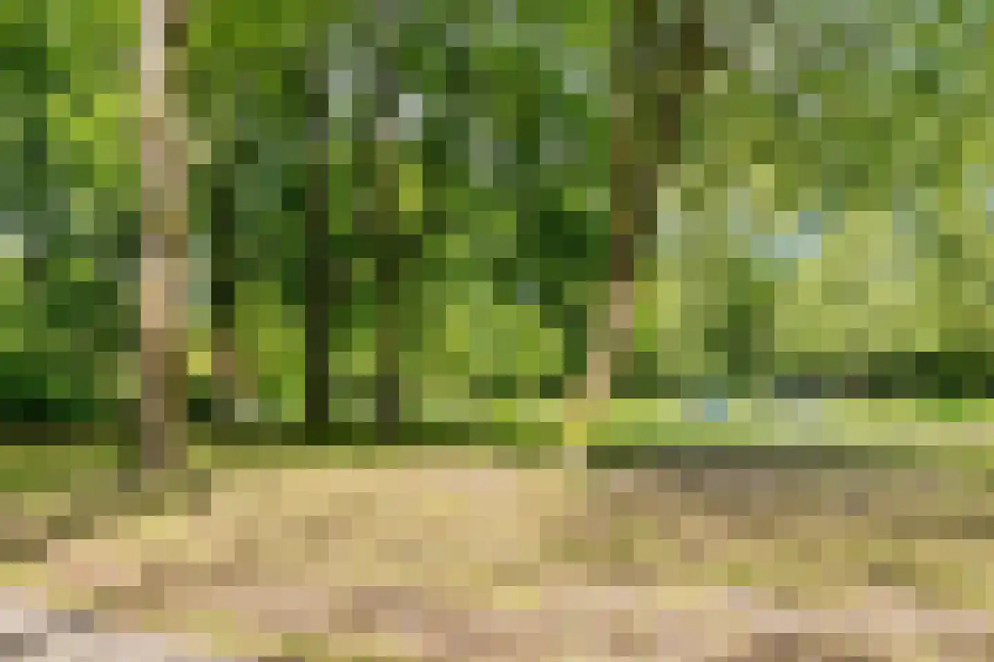 Postjeskade 135 4 Amsterdam thumbnail 30