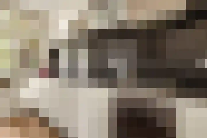 Postjeskade 137 H Amsterdam thumbnail 19