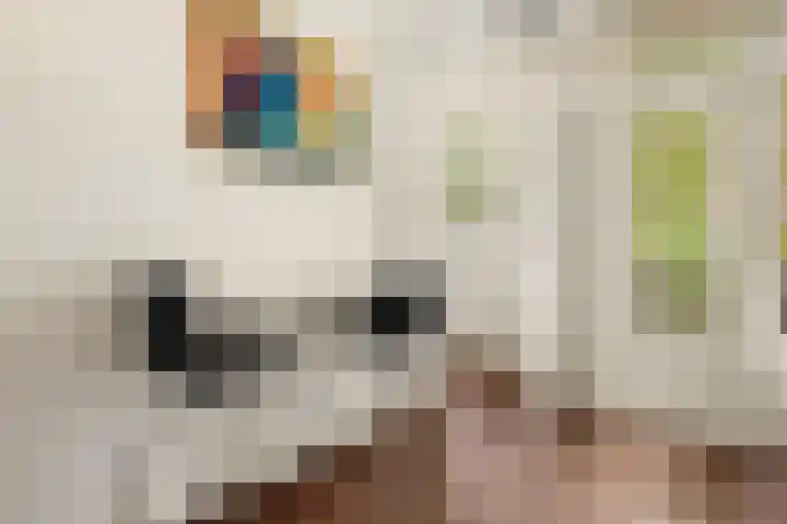 Postjeskade 137 H Amsterdam thumbnail 20