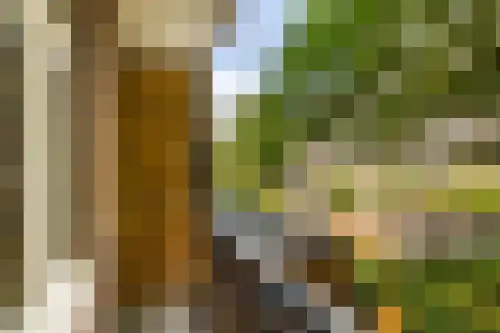 Postjeskade 137 H Amsterdam thumbnail 23