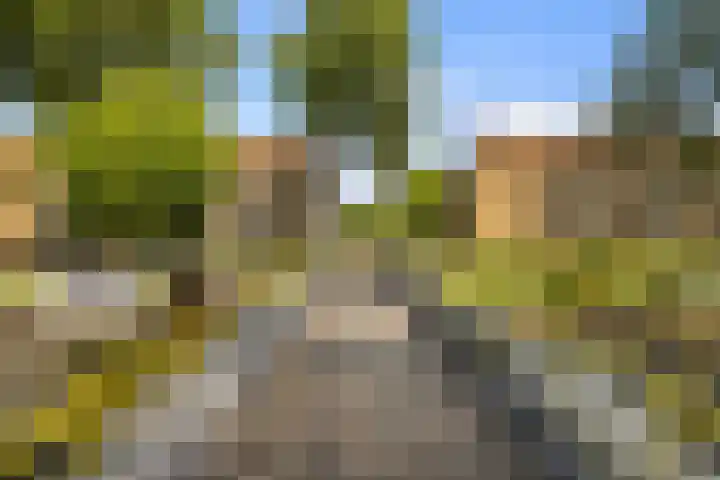 Postjeskade 137 H Amsterdam thumbnail 38