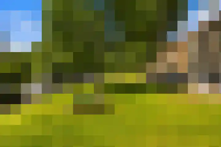 Postjeskade 137 H Amsterdam thumbnail 39
