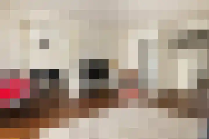 Postjeskade 137 H Amsterdam thumbnail 4