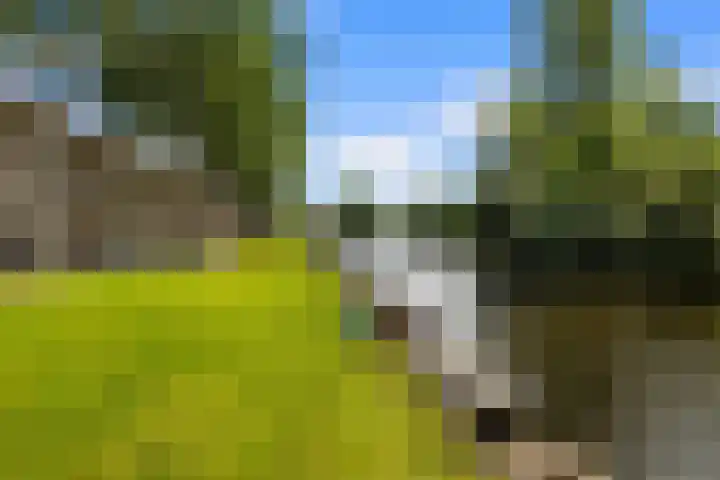 Postjeskade 137 H Amsterdam thumbnail 40