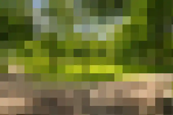 Postjeskade 137 H Amsterdam thumbnail 42