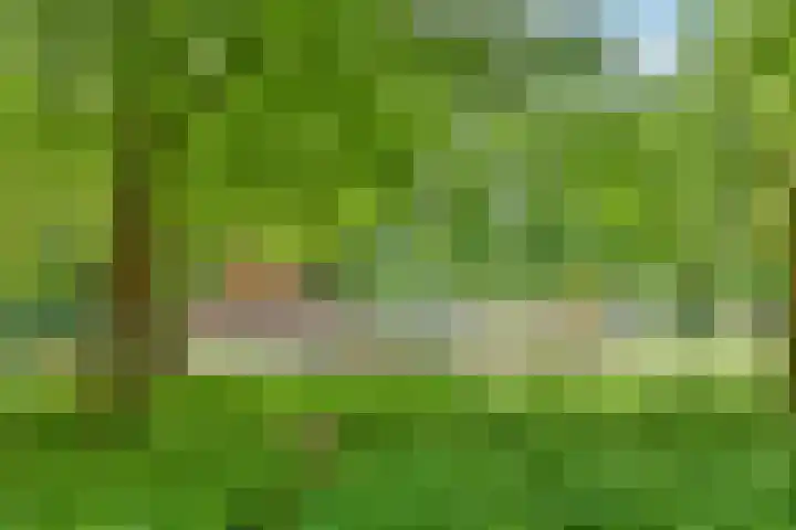 Postjeskade 137 H Amsterdam thumbnail 43