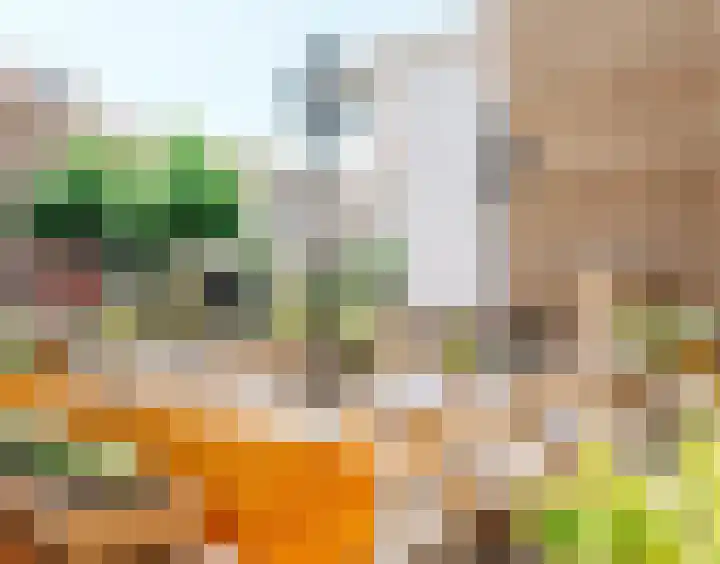Postjeskade 137 H Amsterdam thumbnail 48