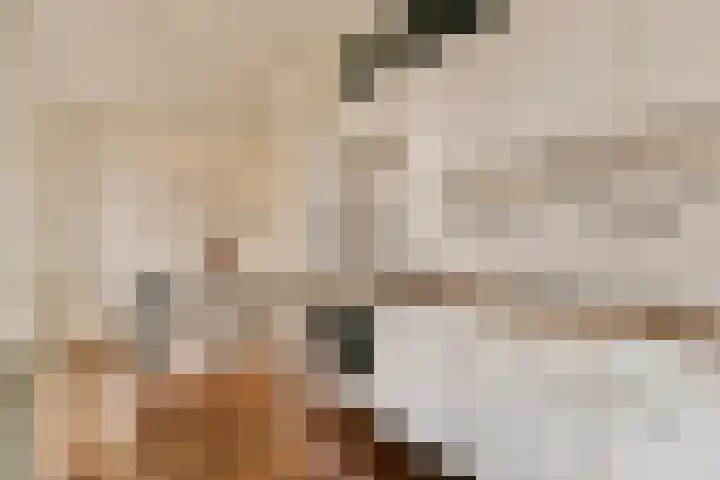 Postjeskade 14 2 Amsterdam thumbnail 10