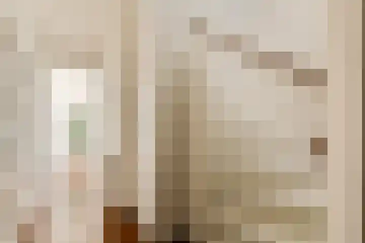 Postjeskade 14 2 Amsterdam thumbnail 11