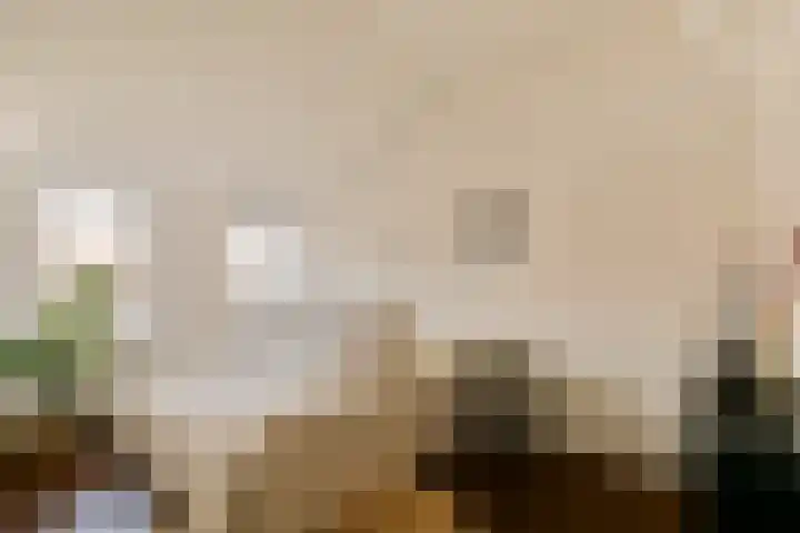 Postjeskade 14 2 Amsterdam thumbnail 13