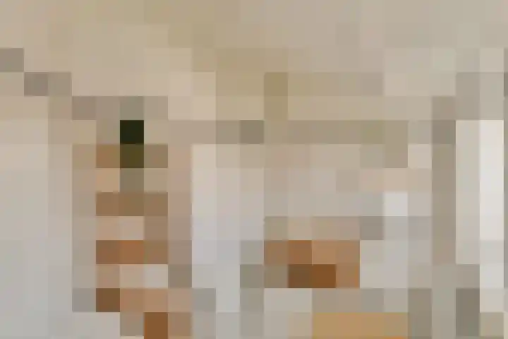 Postjeskade 14 2 Amsterdam thumbnail 16