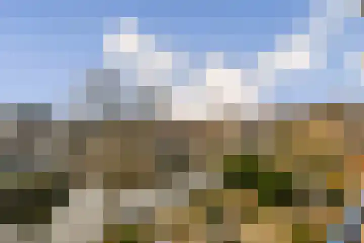 Postjeskade 14 2 Amsterdam thumbnail 20