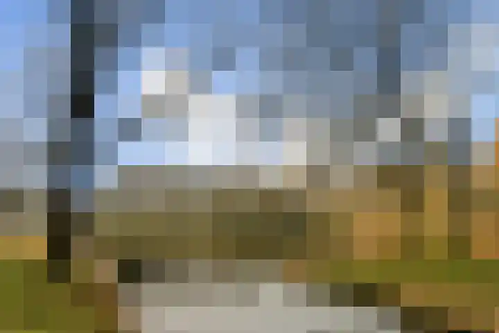 Postjeskade 14 2 Amsterdam thumbnail 24