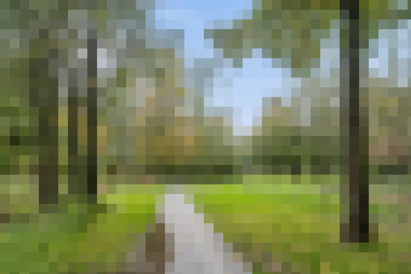 Postjeskade 14 2 Amsterdam thumbnail 27