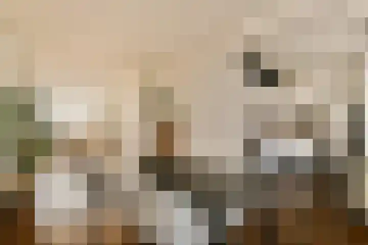 Postjeskade 14 2 Amsterdam thumbnail 9