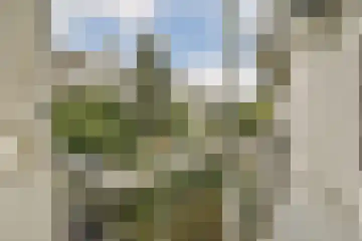 Postjeskade 145 1 Amsterdam thumbnail 13