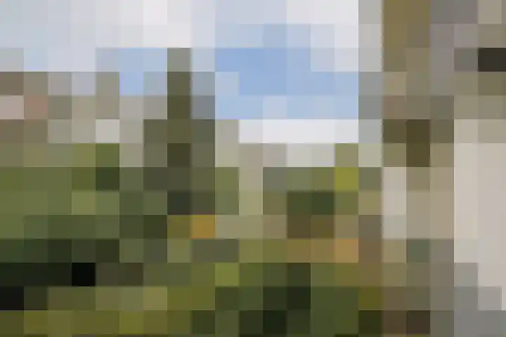 Postjeskade 145 1 Amsterdam thumbnail 15