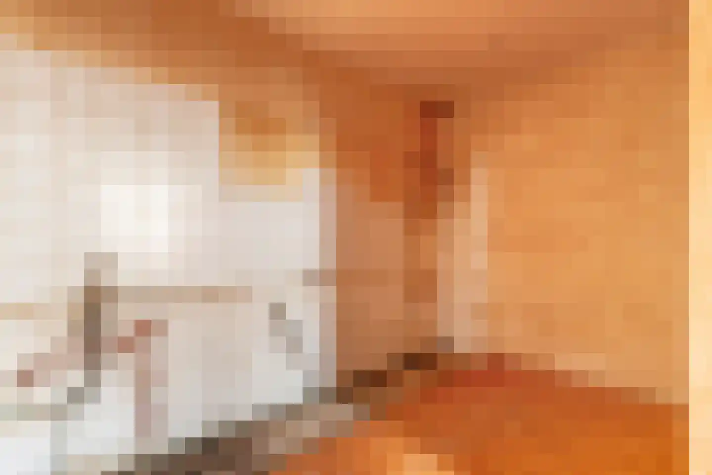 Postjeskade 15 Amsterdam thumbnail 19
