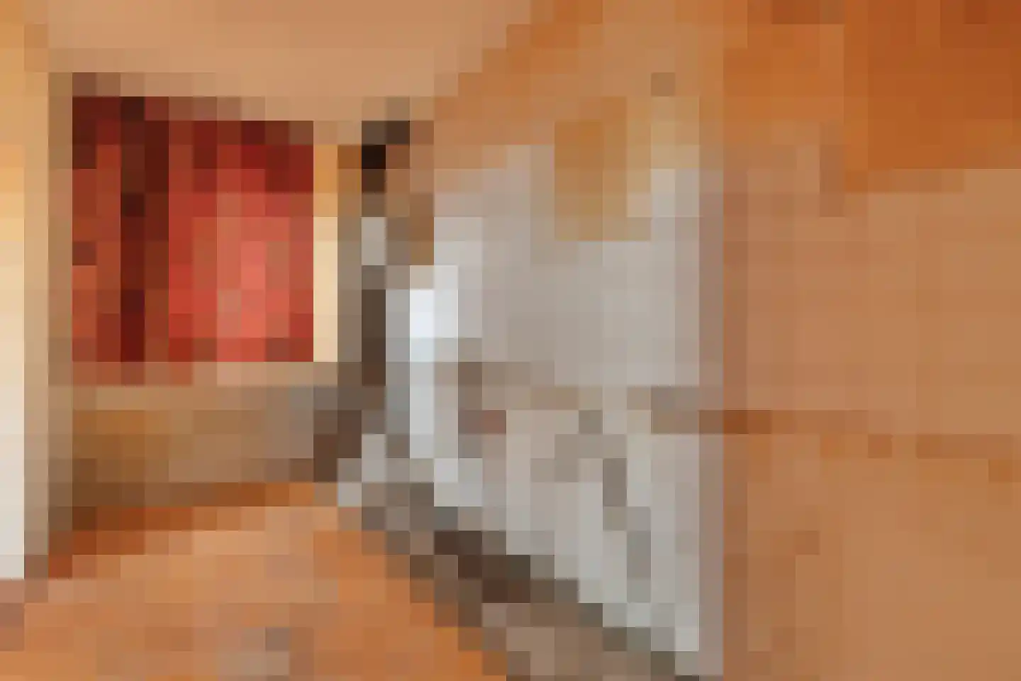 Postjeskade 15 Amsterdam thumbnail 21