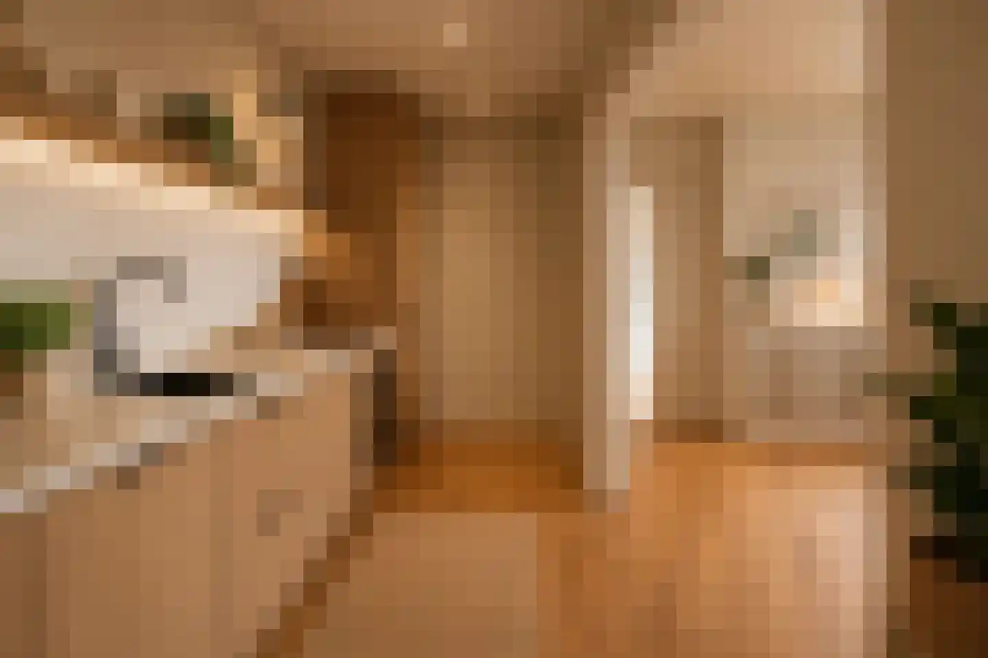 Postjeskade 15 Amsterdam thumbnail 6