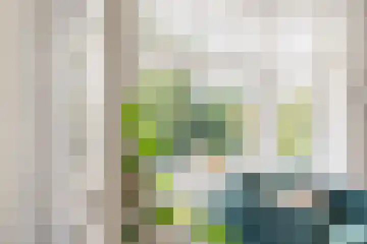 Postjeskade 151 1 Amsterdam thumbnail 15